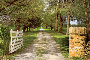 Middleburg driveway