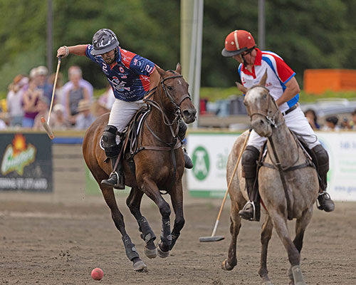 Twilight Polo