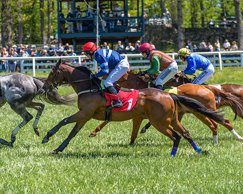 Middleburg Spring Races