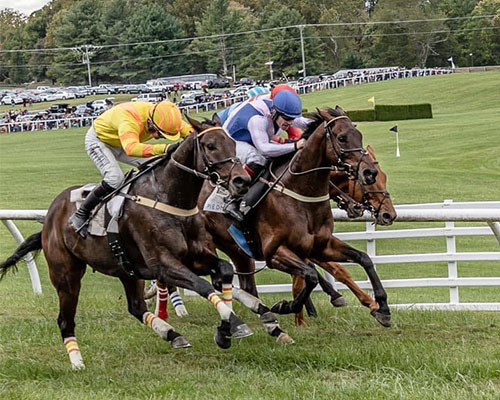 Middleburg Spring Races