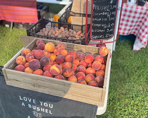 Buchanan Hall Farmers Market