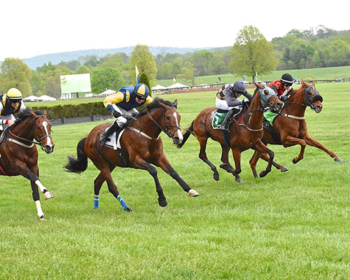 Middleburg Spring Races