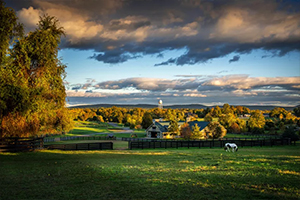 Fall Scenery in Middleburg, VA