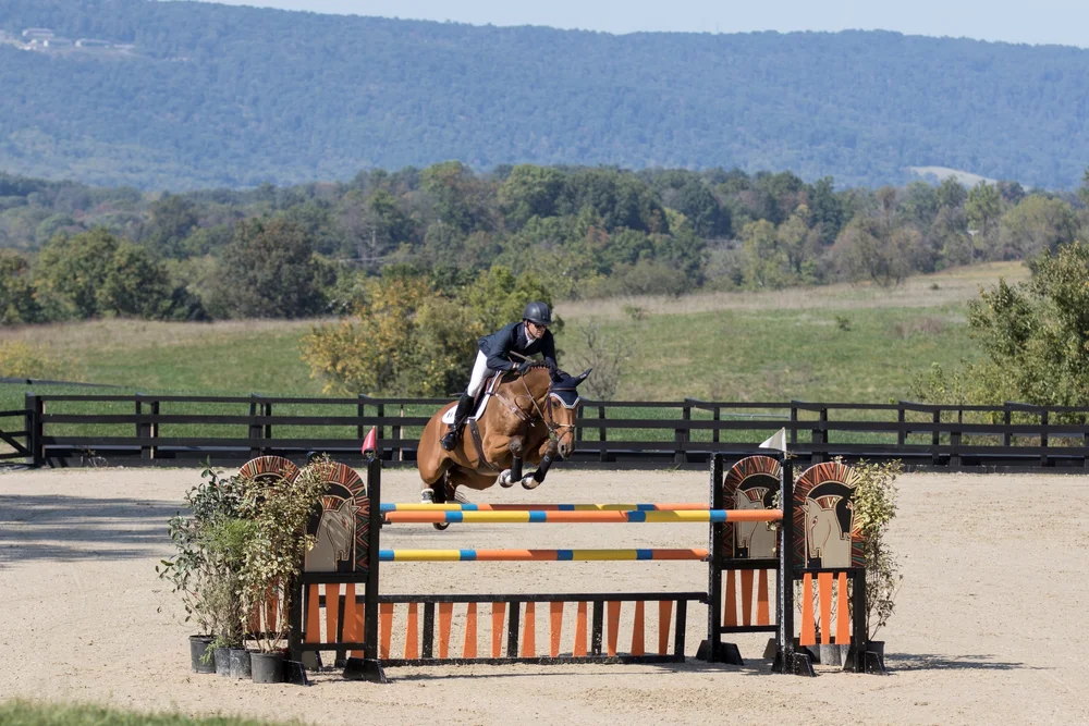 MZ3A6924+(2) Upperville Horse Show